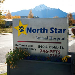 North Star Animal Hospital | Palmer, Alaska